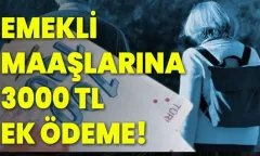 Emeklilere Müjde: En Düşük Maaş 20.000 TL'ye Yükseldi - Kaleli